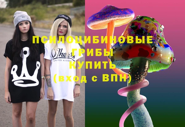 спиды Вязьма