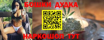 Альфа ПВП Гатчина