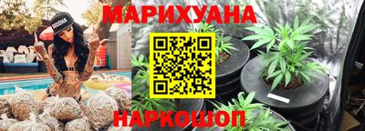 сатива Балаково