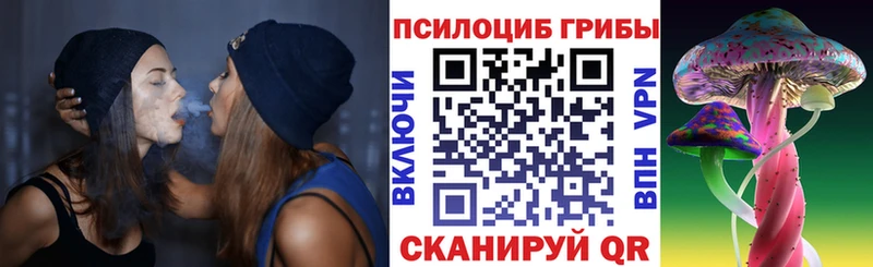 Галлюциногенные грибы мицелий Воскресенск