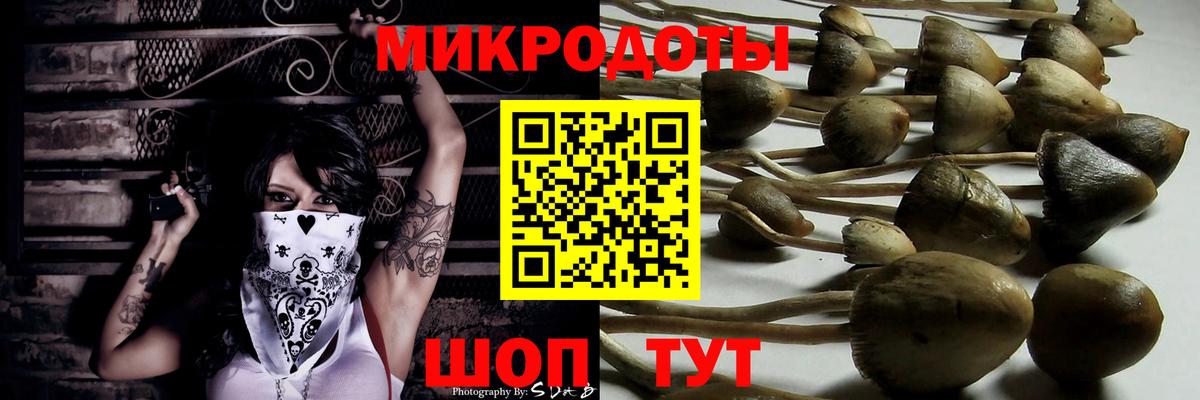 Псилоцибиновые грибы прущие грибы Воскресенск